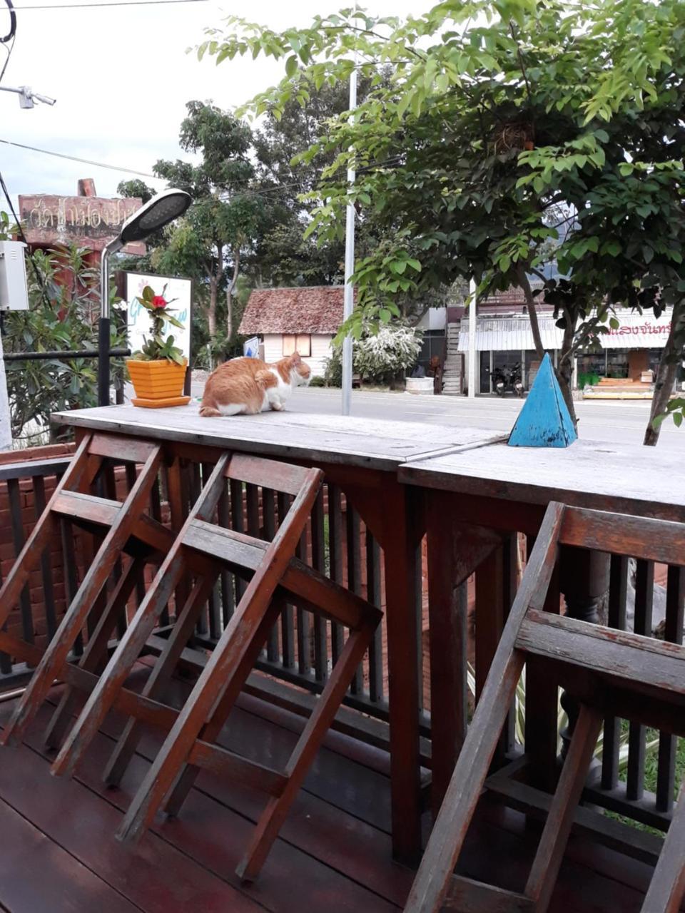 ปอ อา ยอ รีสอร์ท Pai Exterior photo